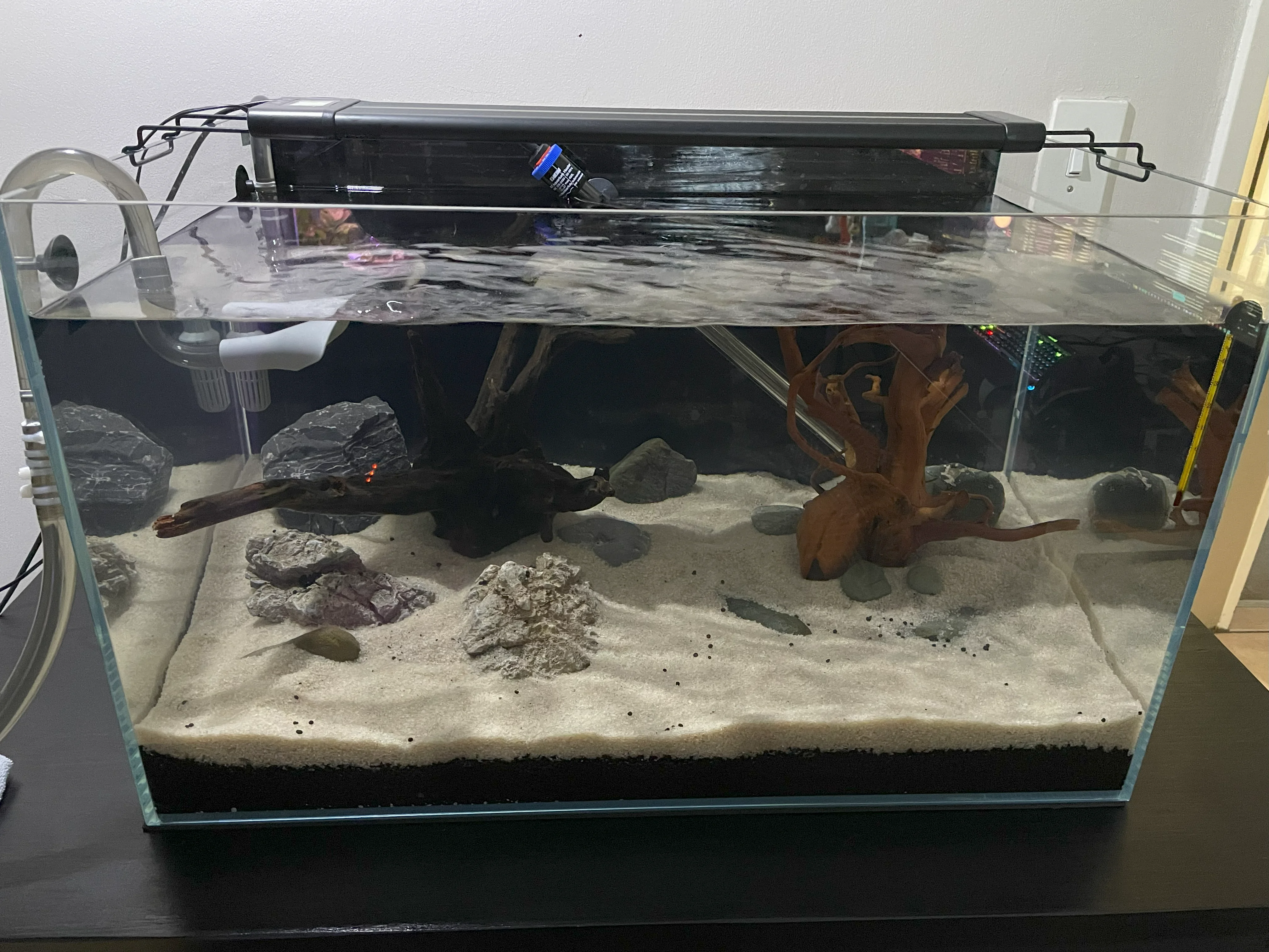 The Dark Start Method