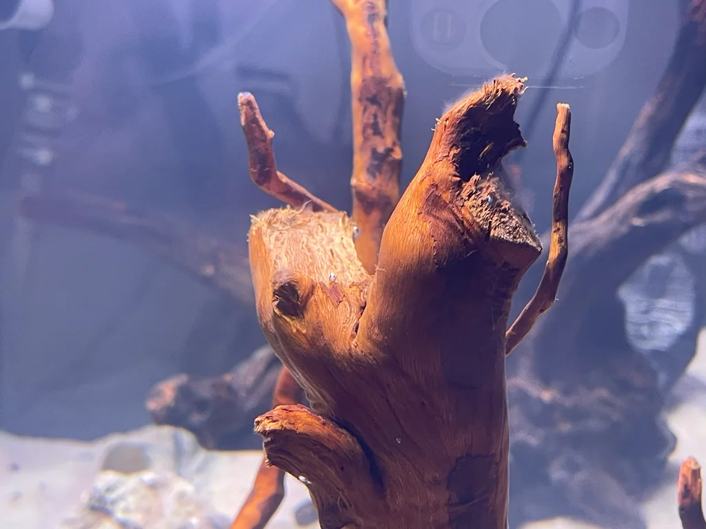 Dark Start: The First Week